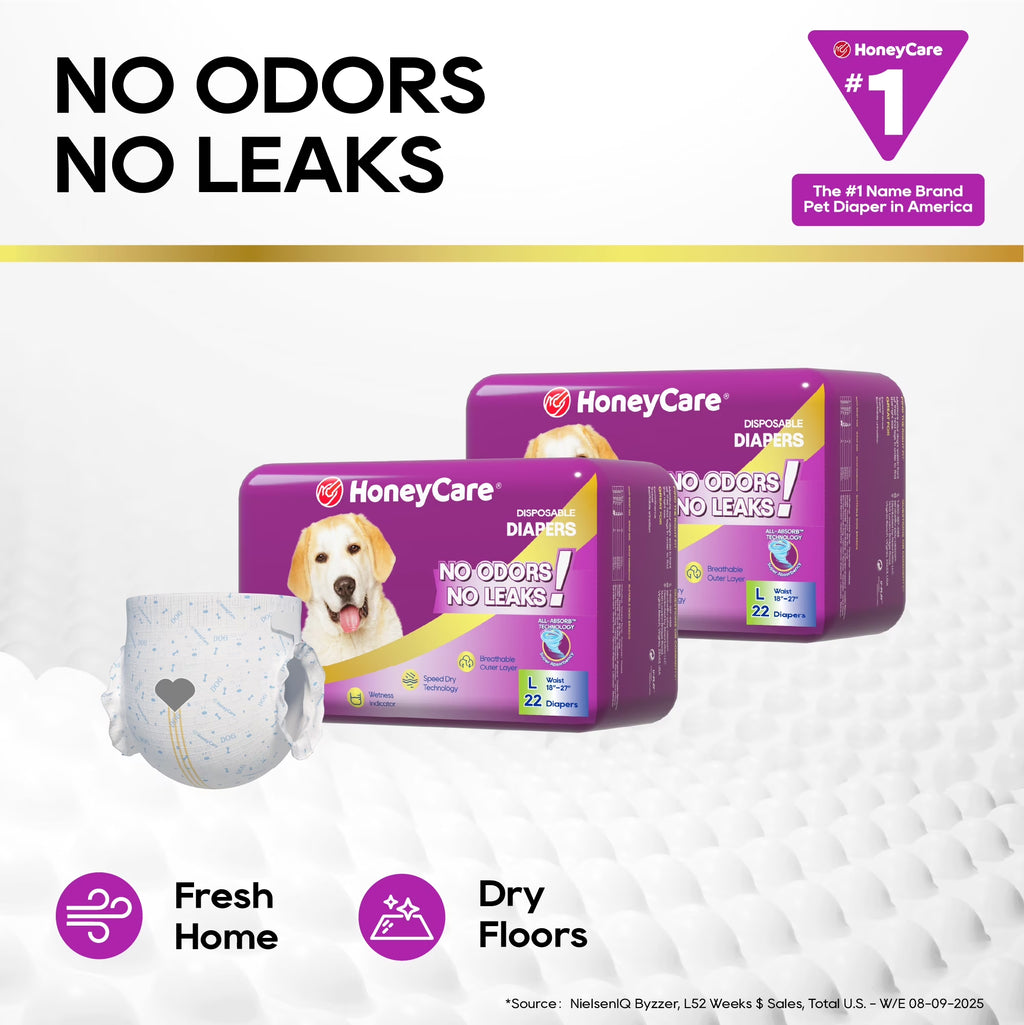 All-Absorb A29 Disposable Female Dog Diapers L Size,22 Count, Super Absorbent