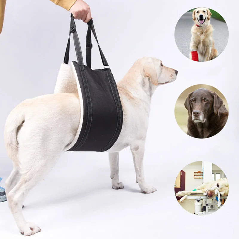 Dog Lift Harness Adjustable Dog Sling Multifunctional Mobility Assistance for Back Legs Weak Pet Aid Assist Tool for Elderly Dog