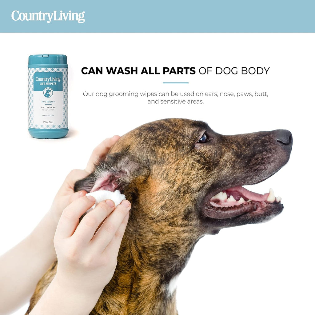 Fragrance-Free Wipes for Dogs, Dog Wipes Cleaning & Pet-Friendly with Plant-Based Formula, 1-Pack (Total of 75 Wipes)