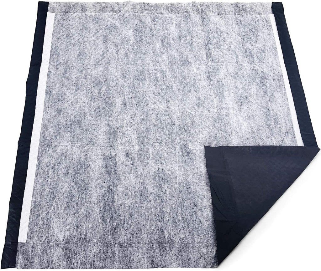 plus Carbon Puppy Pads, Medium 23X24 Inch, 200 Count - Premium Pee Pads for Dogs, Activated Charcoal Odor Control, Super Absorbent Polymer Gel Core, 5-Layer Design