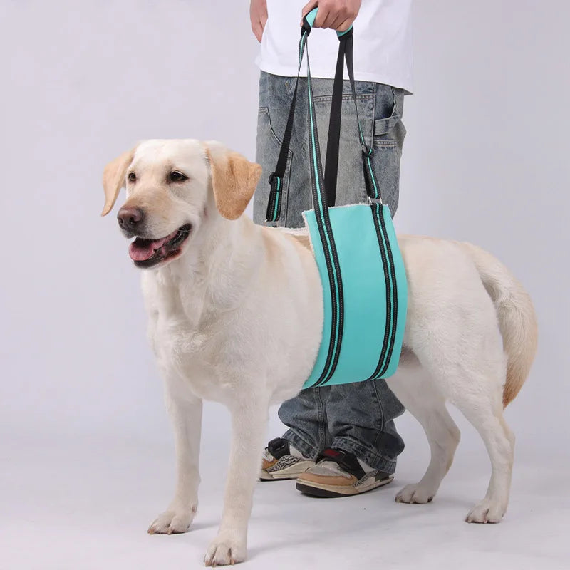 Dog Lift Harness Adjustable Dog Sling Multifunctional Mobility Assistance for Back Legs Weak Pet Aid Assist Tool for Elderly Dog