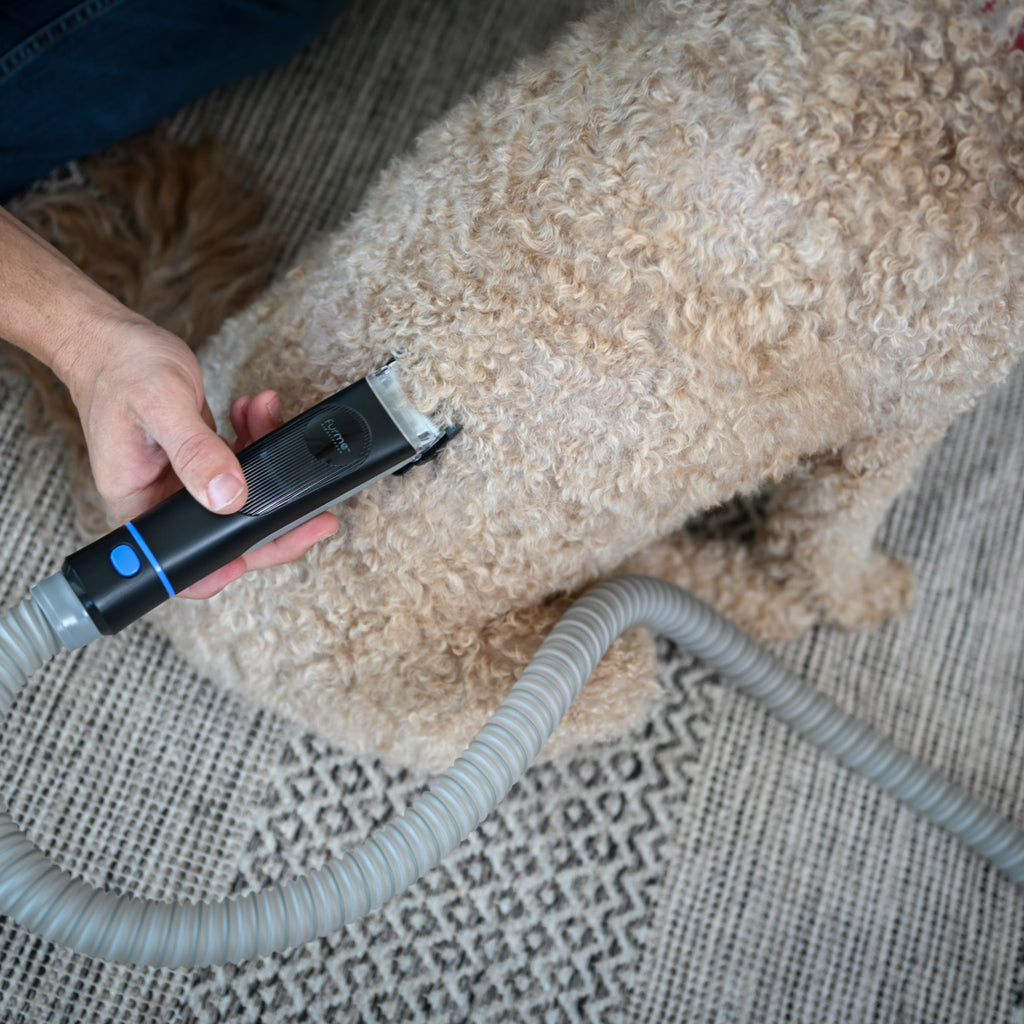 Furme Ultra Pet Grooming Vacuum Kit with Carrying Case