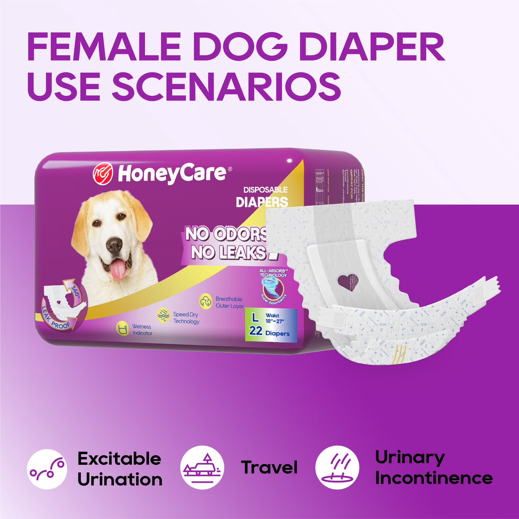 All-Absorb A29 Disposable Female Dog Diapers L Size,22 Count, Super Absorbent